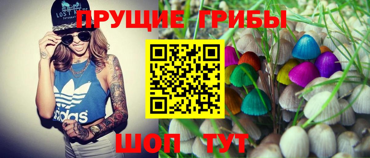 Псилоцибиновые грибы Psilocybine cubensis  Галлюциногенные грибы прущие грибы  Вход с VPN  Качканар 